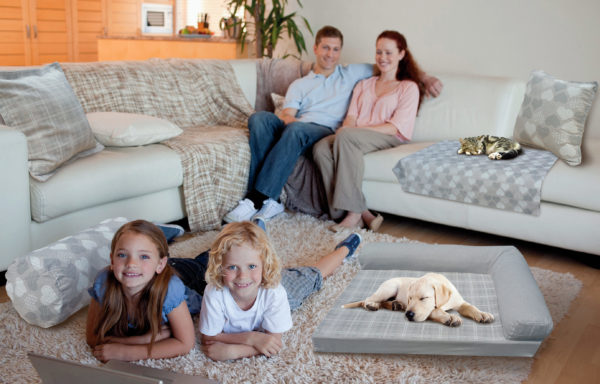 DIVANETTI Sultan e Concept